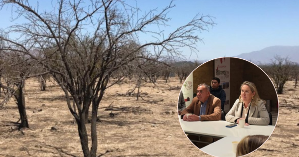 “Ya no podemos esperar soluciones desde una oficina”: Colina intensifica gestiones por la crisis del agua.