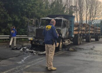 Conductor en ruta a Nacimiento fue asaltado por individuos que intentaron incendiar su camión en Nueva Imperial.
