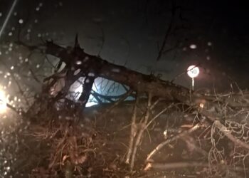 Interrupciones de energía impactan a varios sectores en la Provincia del Biobío.