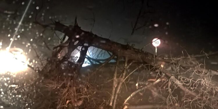 Interrupciones de energía impactan a varios sectores en la Provincia del Biobío.