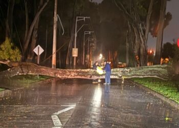 Cortes de energía impactan diversas áreas de Los Ángeles y la provincia del Biobío.