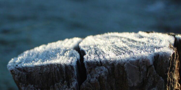 Se alejan las lluvias, pero el frío extremo aterriza en Los Ángeles y el resto del Biobío.