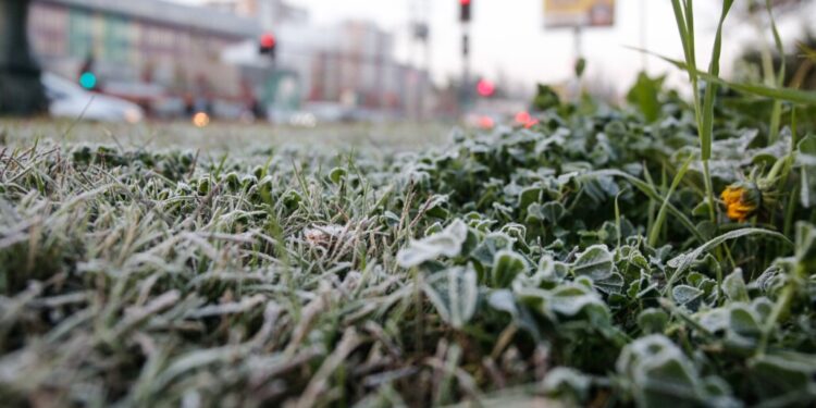 Este fin de semana, Los Ángeles alcanzará temperaturas de hasta -5 grados.
