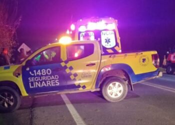 Motorista fallece tras colisionar con un camión que transportaba maquinaria en el Maule.