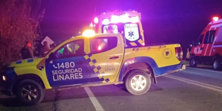 Motorista fallece tras colisionar con un camión que transportaba maquinaria en el Maule.