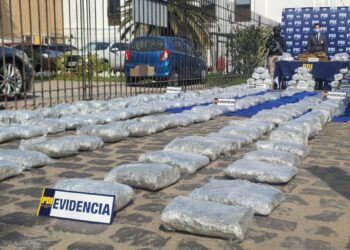 Detienen a cuatro colombianos que trasladaban marihuana en cajas de frutas desde Alto Hospicio hacia la región Metropolitana.