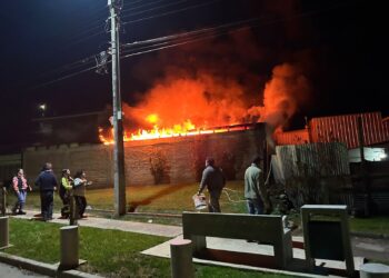 Tragedia en Cauquenes: incendio arrasa con una casa y fallecen 13 perros que fueron rescatados.