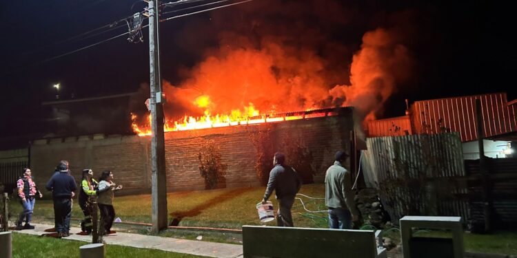 Tragedia en Cauquenes: incendio arrasa con una casa y fallecen 13 perros que fueron rescatados.