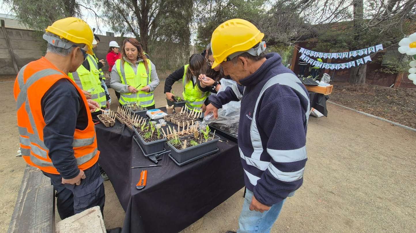Talleres de huertos urbanos para fomentar la educación ambiental.