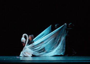 Teatro visual y música se fusionan en Talca con “El Carnaval de los Animales”.