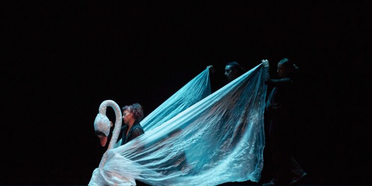 Teatro visual y música se fusionan en Talca con “El Carnaval de los Animales”.