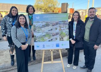 Un jardín lleno de lluvia y naturaleza.