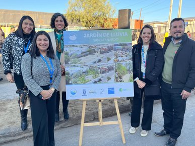 Un jardín lleno de lluvia y naturaleza.
