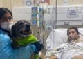 «Recuperó la sonrisa»: Un paciente en UCI recibió la visita de su perro gracias a la iniciativa de humanización del Hospital Pereira de Valparaíso.