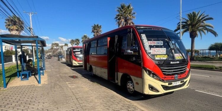Fortalecen los servicios de transporte público en la región de Valparaíso debido a la Primaria oficialista.