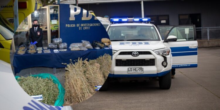 Funcionarios de Salud arrestados por tráfico de drogas: en lugar de destruirla, la almacenaban y vendían en Ñuble.