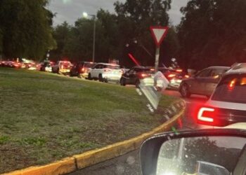 Taco gigante en Chicureo: árbol caído bloquea un acceso super importante.