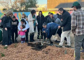 San Bernardo se pondrá fresco con un jardín de lluvia.