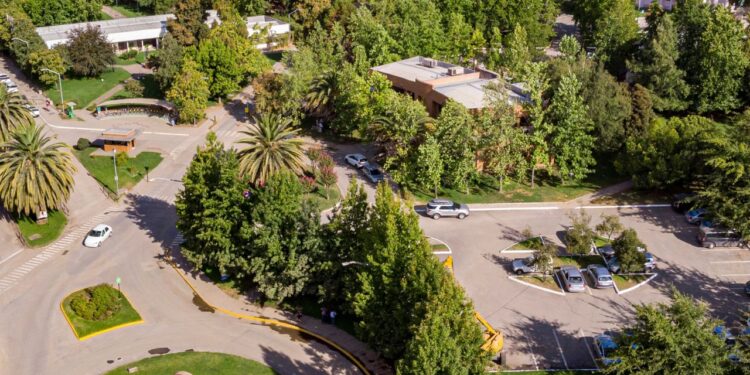 Una del Maule: 20 universidades chilenas se encuentran entre las mejores del mundo.