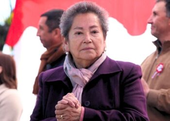 Búsqueda de la concejala y las labores en el río Loncomilla.