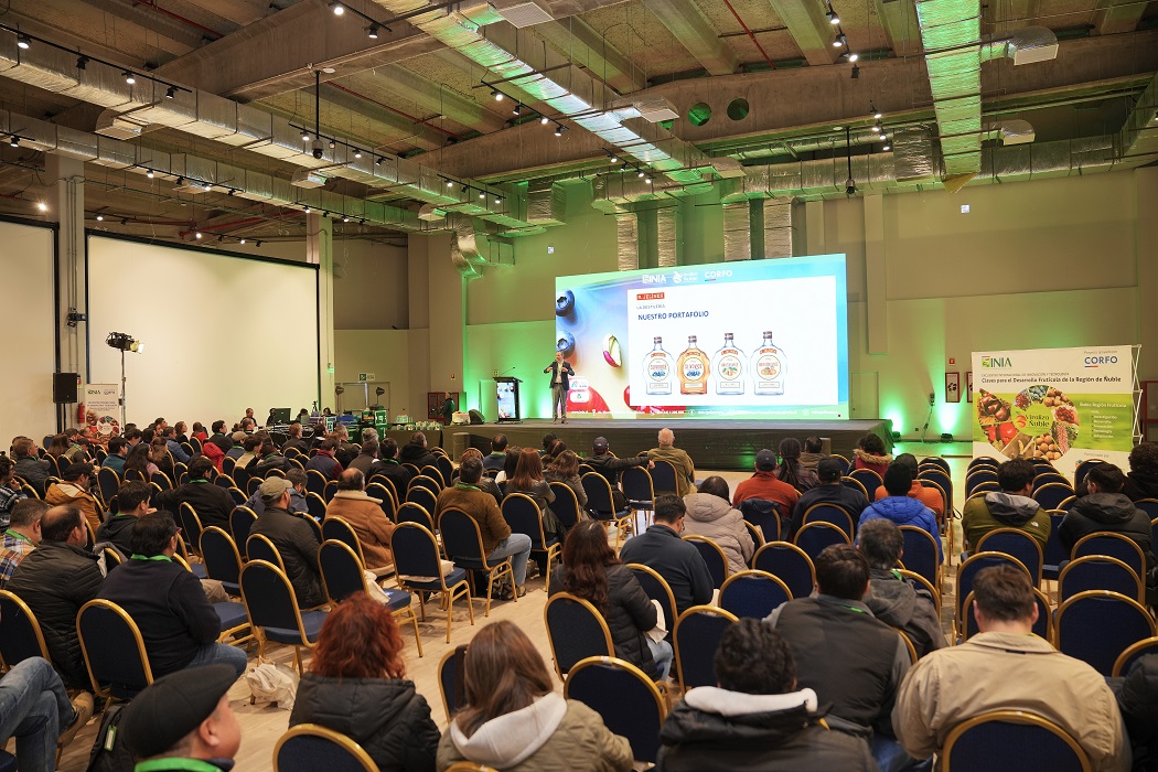 Ñuble proyecta su liderazgo frutícola con gran convocatoria en encuentro internacional organizado por INIA
