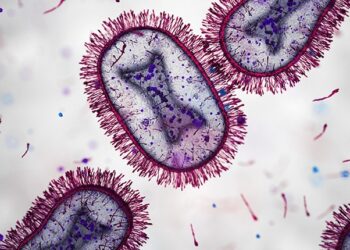 Clave chilena para combatir infecciones respiratorias