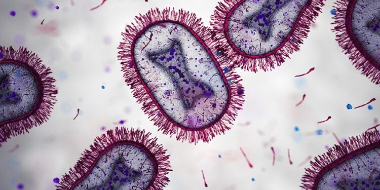 Clave chilena para combatir infecciones respiratorias