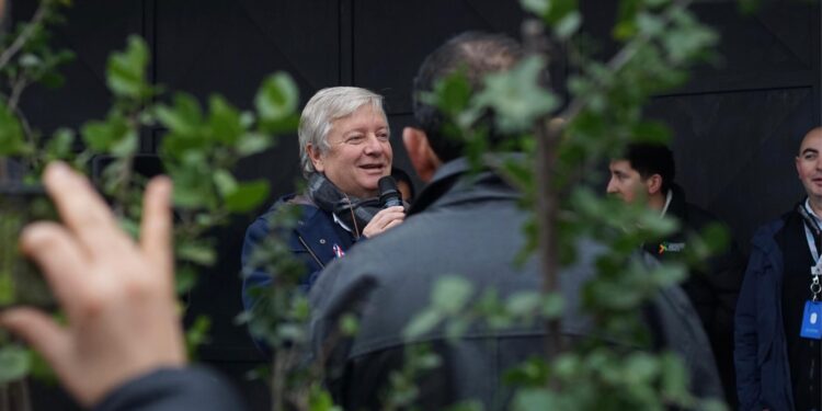 Curicó promueve la reforestación en el centro de la ciudad con árboles nativos.