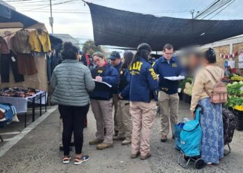 Fiscalización migratoria en Constitución resultó en seis extranjeros denunciados y uno con orden de expulsión activa.