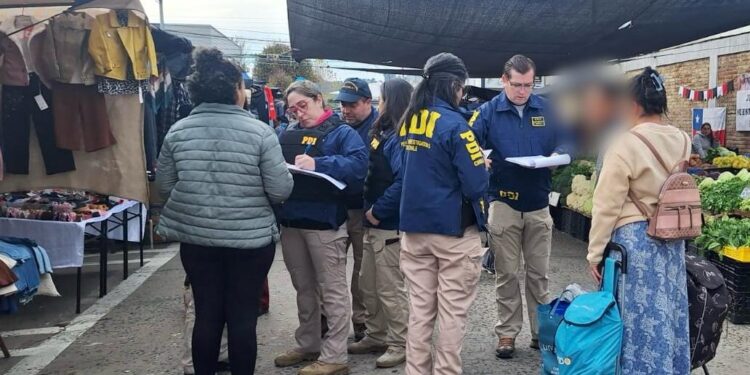 Fiscalización migratoria en Constitución resultó en seis extranjeros denunciados y uno con orden de expulsión activa.