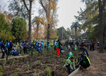 Gobierno regional y Municipalidad de Santiago inauguran un nuevo Bosque de Bolsillo en el Parque O’Higgins.
