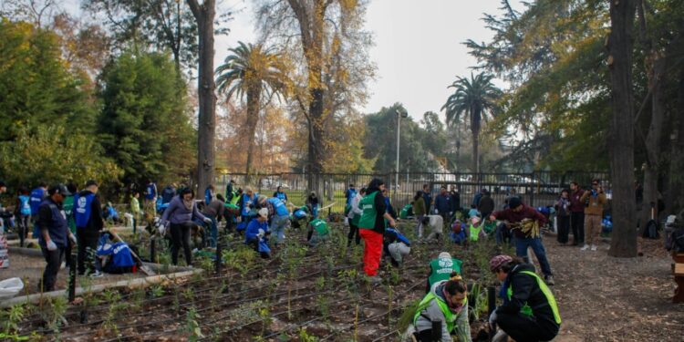 Gobierno regional y Municipalidad de Santiago inauguran un nuevo Bosque de Bolsillo en el Parque O’Higgins.