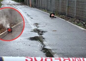 Corte de calle en Alba 3 por caída de cable electrificado en Chicureo.