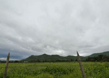 ¿Cómo va a estar el clima en Colina este miércoles?
