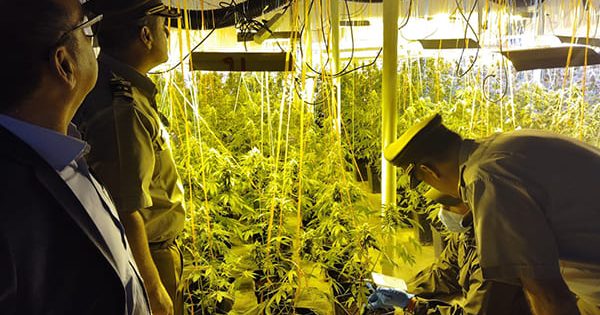 Chile y nuevo informe global sobre drogas: elevado consumo de cannabis y alarmante trastorno por su uso.