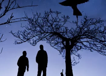 La leyenda del Tué Tué: El ave que anuncia la muerte con su canto en áreas rurales del Biobío.