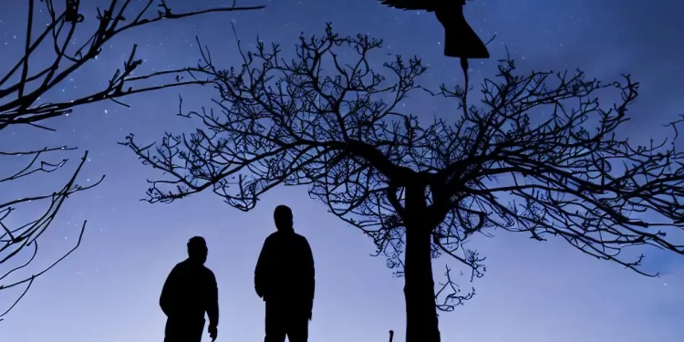 La leyenda del Tué Tué: El ave que anuncia la muerte con su canto en áreas rurales del Biobío.