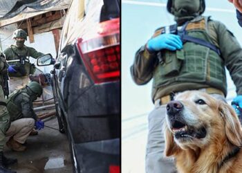Carabineros desmantelan red de microtráfico en Peñaflor y Talagante.