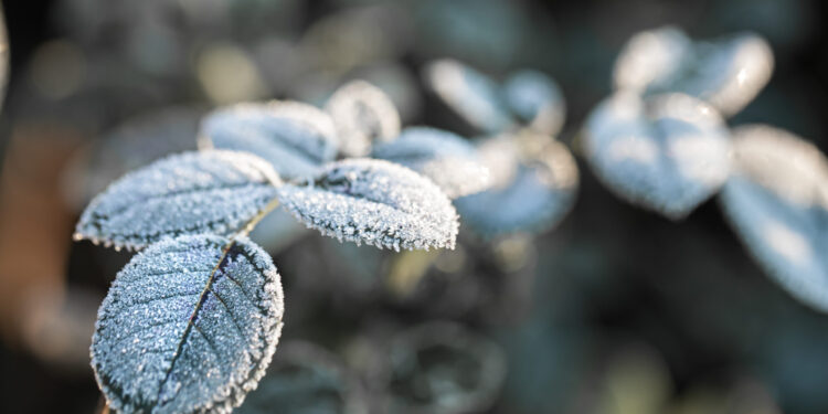 Un invierno inusual: se anticipan fuertes lluvias y frío extremo en la zona central.