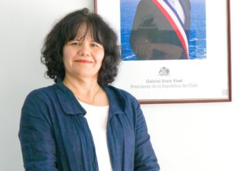 Polémica por la dimisión del seremi de Desarrollo Social del Maule: denuncian “presiones políticas”