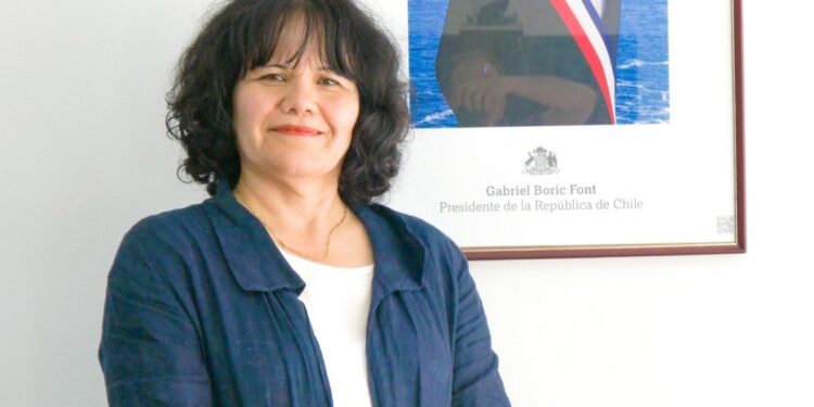 Polémica por la dimisión del seremi de Desarrollo Social del Maule: denuncian “presiones políticas”