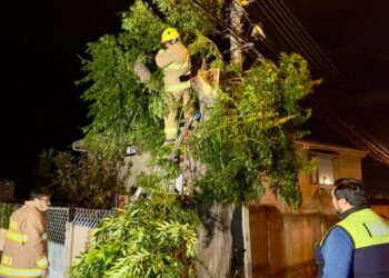 Viña del Mar recibió casi un centenar de peticiones de vecinos debido a las emergencias generadas por el sistema frontal.