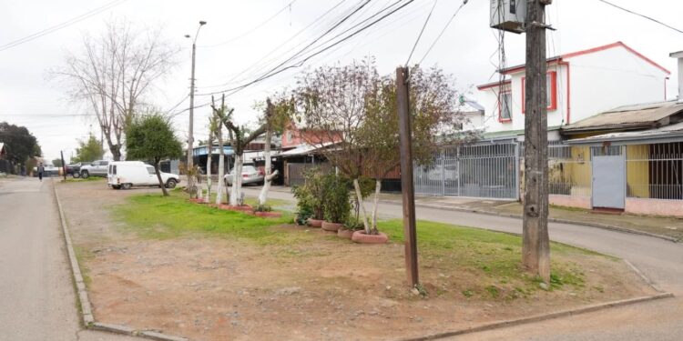 Talca avanza: La comunidad de Cancha Rayada contará con un nuevo bandejón central que ofrecerá mayor seguridad y espacios verdes.