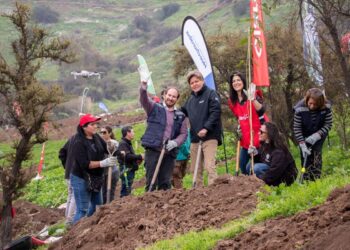 Huechuraba pone en marcha un nuevo pulmón verde plantando 150 árboles nativos.