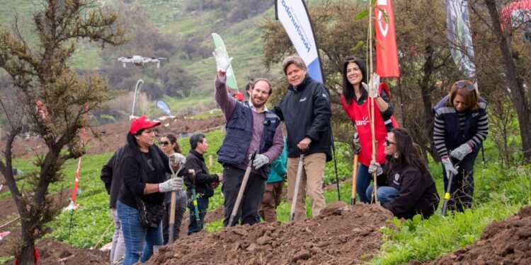 Huechuraba pone en marcha un nuevo pulmón verde plantando 150 árboles nativos.