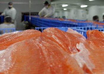 Ministerio de Salud emite «Alerta Alimentaria» debido a la detección de bacteria en salmón ahumado de una marca reconocida.