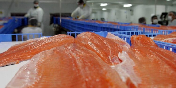 Ministerio de Salud emite «Alerta Alimentaria» debido a la detección de bacteria en salmón ahumado de una marca reconocida.