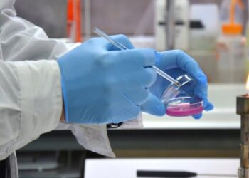 El HUB Ambiental de la Universidad de Playa Ancha obtiene una acreditación internacional pionera para su laboratorio.