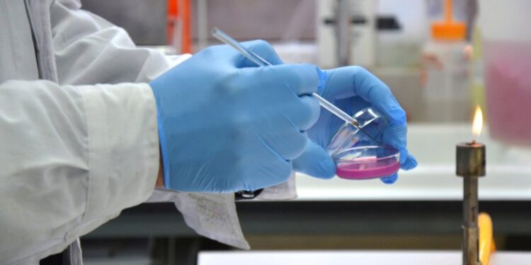 El HUB Ambiental de la Universidad de Playa Ancha obtiene una acreditación internacional pionera para su laboratorio.