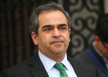 Presidente del PPD sostiene que el Gobierno fue «demasiado indiferente» en el proceso de la Primaria.
